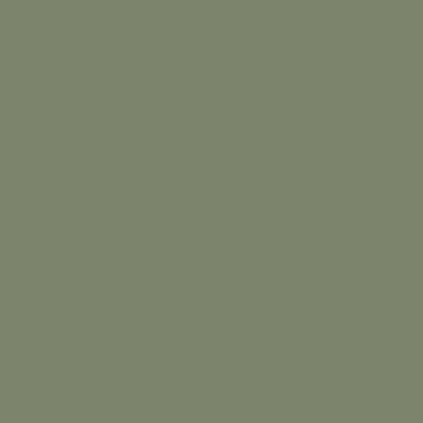 Dulux Powder Coat colour Matt Satin Pale Eucalypt